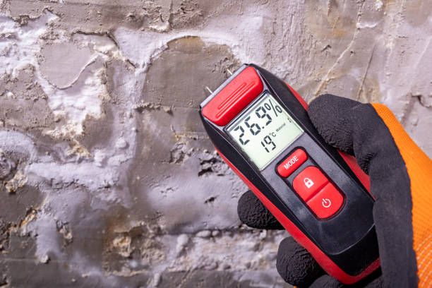 Certified Mold Removal in Mason City, IL