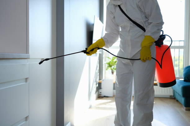Best Mold Remediation  in Mason City, IL