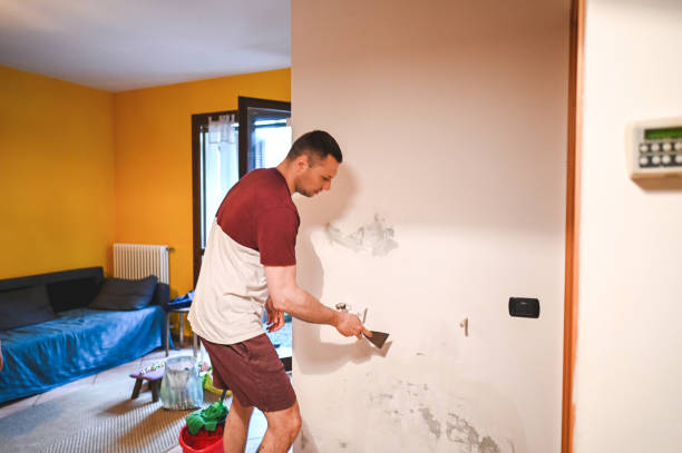 Home Mold Removal in Mason City, IL
